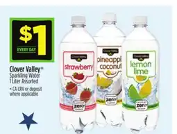 Dollar General Clover Valley Sparkling Water offer