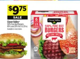 Dollar General Clover Valley 100% Pure Beef Burgers offer