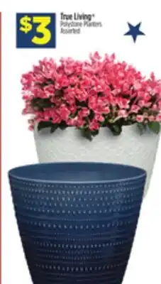 Dollar General True Living Polystone Planters offer