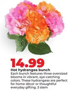 Hy-Vee Hot hydrangea bunch offer