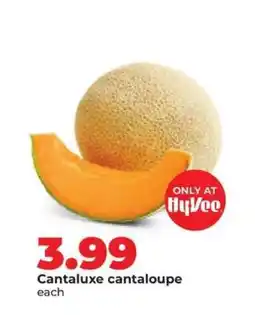 Hy-Vee Cantaluxe cantaloupe offer