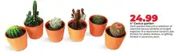 Hy-Vee 4 Cactus garden offer