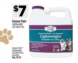 Dollar General Forever Pals Lightweight Cat Litter 5 lb offer