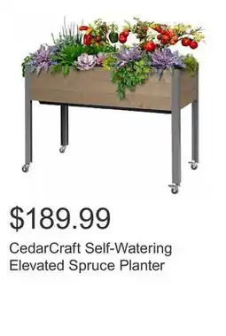 Costco CedarCraft Self-Watering Elevated Spruce Planter offer