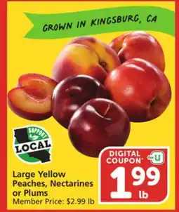 Vons Large Yellow Peaches, Nectarines or Plums offer