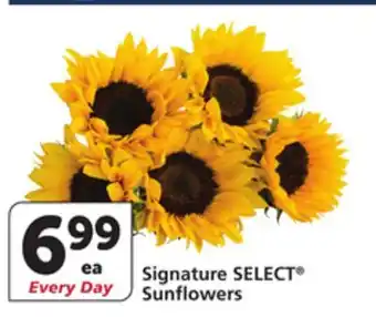 Vons Signature SELECT Sunflowers offer