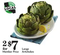 Pavilions Large Artichokes offer