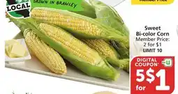 Albertsons Sweet Bi-color Corn offer