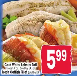Jewel-Osco Cold Water Lobster Tail Frozen 4 oz., Sold by EA. or Fresh Catfish Fillet Sold by LB offer