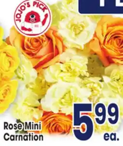 Jewel-Osco Rose Mini Carnation offer