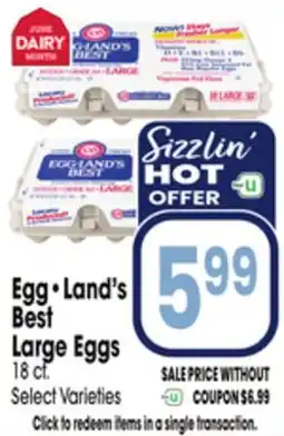 Jewel-Osco Egg•Land's Best Large Eggs offer