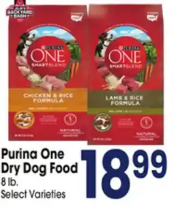 Jewel-Osco Purina One Dry Dog Food offer