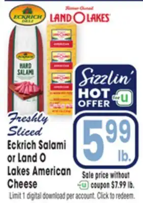 Jewel-Osco Eckrich Salami or Land O Lakes American Cheese offer