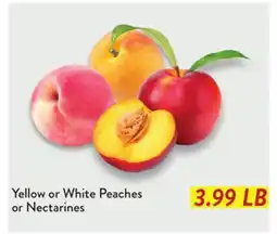 Fresh Thyme Yellow or White Peaches or Nectarines offer