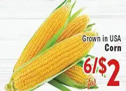 Rio Valley Market Corn offer