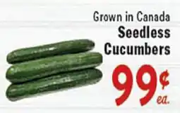 Rio Valley Market Seedless Cucumbers offer