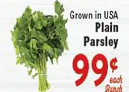 Rio Valley Market Grown in USA Plain Parsley offer