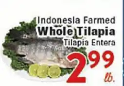 Rio Valley Market Indonesia Farmed Whole Tilapia offer
