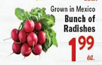 Rio Valley Market Bunch of Radishes offer