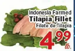 Rio Valley Market Indonesia Farmed Tilapia Fillet offer
