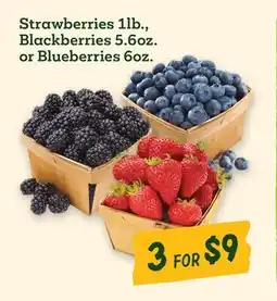 Sprouts Farmers Market Strawberries 1lb., Blackberries 5.6oz. or Blueberries 6oz offer