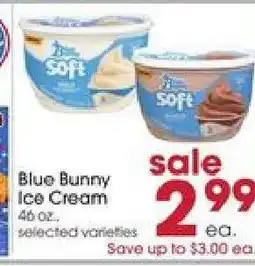 Giant Eagle Blue Bunny Ice Cream offer