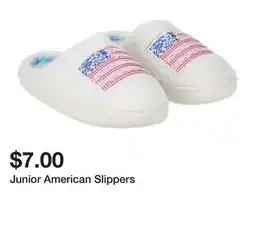 Five Below Junior American Slippers offer