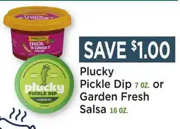Heinen's Plucky Pickle Dip 7 OZ. or Garden Fresh Salsa 16 OZ offer