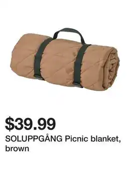 Ikea SOLUPPGĂ…NG Picnic blanket, brown offer