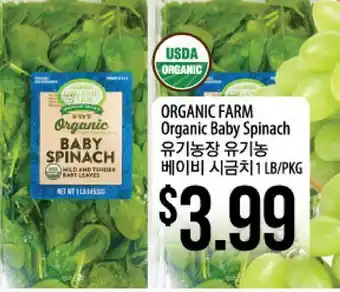 Hmart ORGANIC FARM Organic Baby Spinach offer