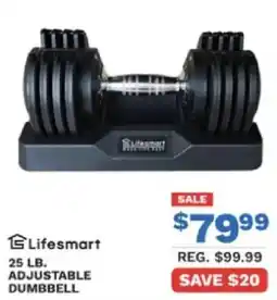 Big 5 Lifesmart adjustable dumbbell offer