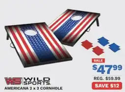 Big 5 Wild sports americana 2 x 3 cornhole offer