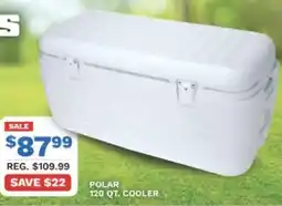 Big 5 Igloo coolers polar cooler offer