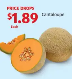 Aldi Cantaloupe offer