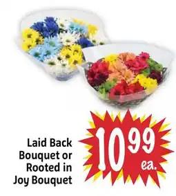 Foodmaxx Laid Back Bouquet or Rooted in Joy Bouquet offer