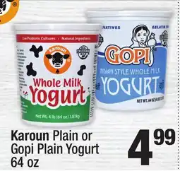 Super King Markets Karoun Plain or Gopi Plain Yogurt offer