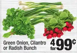 Super King Markets Green Onion, Cilantro or Radish Bunch offer
