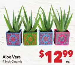 Vallarta Supermarkets Aloe Vera offer