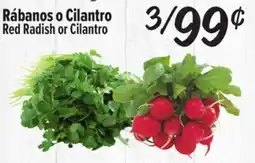 El Super Fresh Rábanos o Cilantro | Red Radish or Cilantro offer
