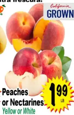 Superior Grocers Peaches or Nectarines offer