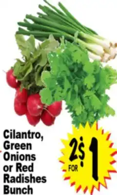 Superior Grocers Cilantro, Green Onions or Red Radishes Bunch offer