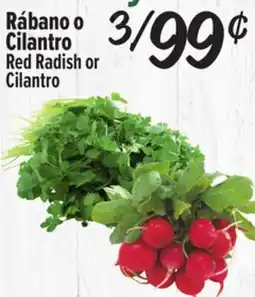 El Super Red Radish or Cilantro offer