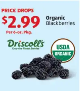 Aldi Driscoll's Organic Blackberries offer