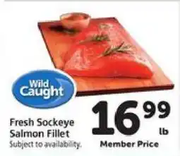 Safeway Fresh Sockeye Salmon Fillet offer