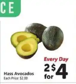 Safeway Hass Avocados offer