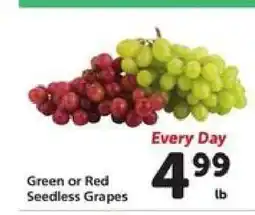 Safeway Green or Red Seedless Grapes offer