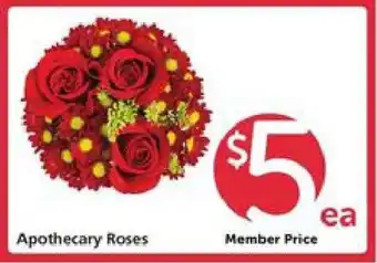 Safeway Apothecary Roses offer