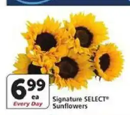 Albertsons Signature SELECT Sunflowers offer