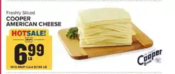 Food Lion COOPER AMERICAN CHEESE offer