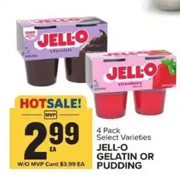 Food Lion Jell-O Gelatin or Pudding offer